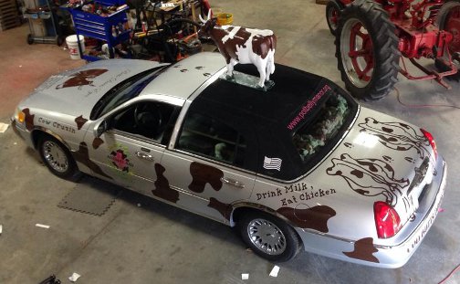 Cow car from top