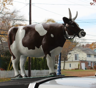 Cow car cow