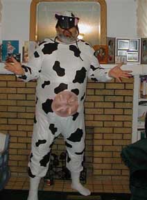 man cow